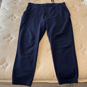 Fabletics Men's Deep Blue Chinos